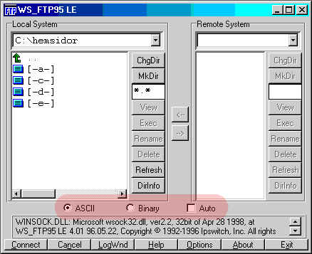 ASCII-instllning i WS_FTP95